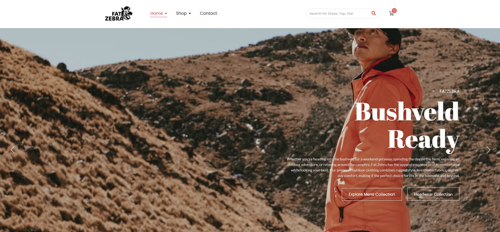 e-commerce_image