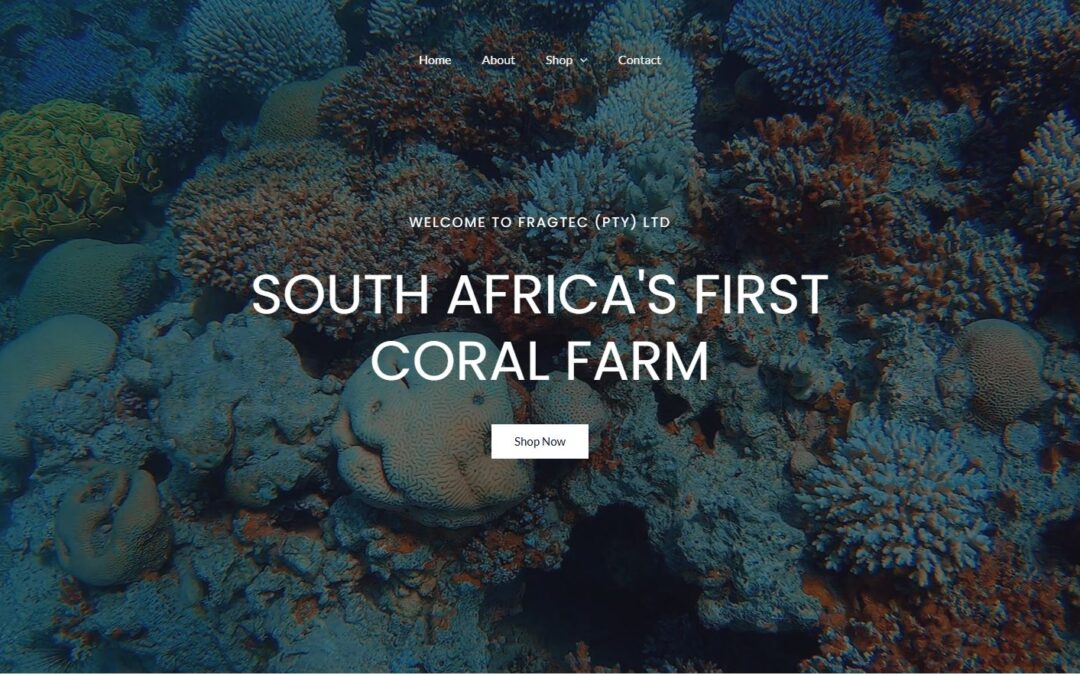 How Much Does a Custom Website Cost in South Africa?